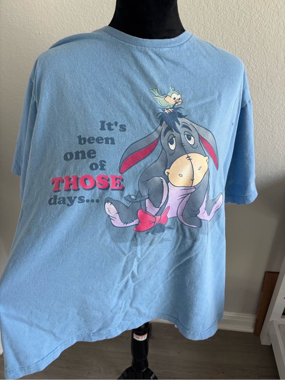 Walt Disney Pooh Tag Eeyore Once of Those Days Graphic Tee Size 18/20 2X